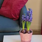 Apartmán Komfortowy We Wroclawiu