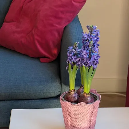 Apartmán Komfortowy We Wroclawiu