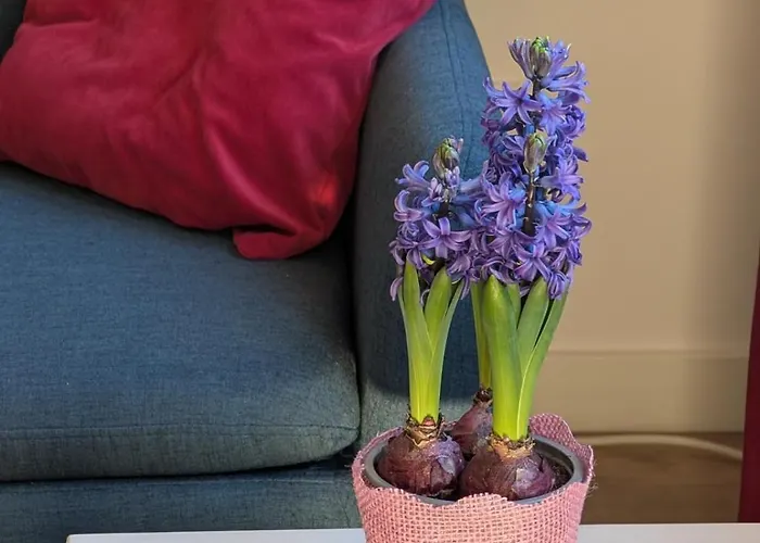 Appartamento Komfortowy We Wroclawiu