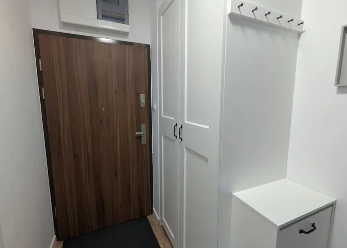 Komfortowy We Wroclawiu * Breslavia